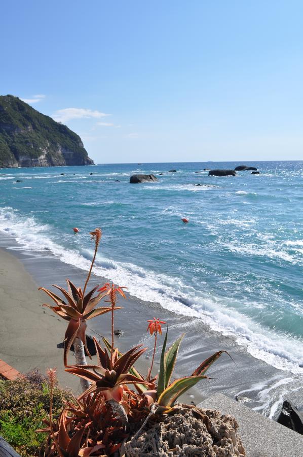 La Citarea Bed and Breakfast Forio di Ischia Buitenkant foto