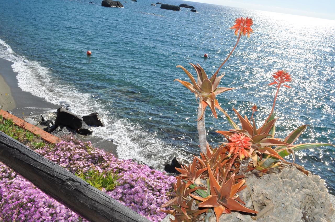 La Citarea Bed and Breakfast Forio di Ischia Buitenkant foto